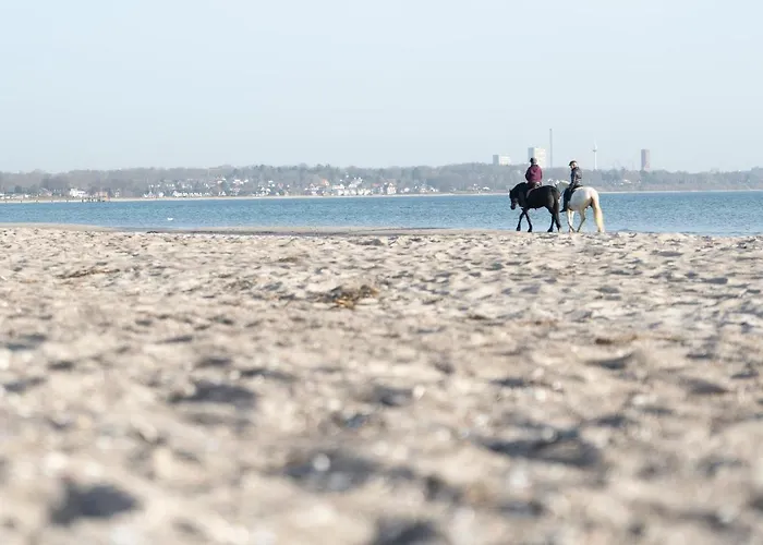 Lägenhet Wohnpark Am Muehlenteich - 35 *